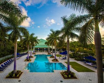 Provident Doral At The Blue - Doral - Pool