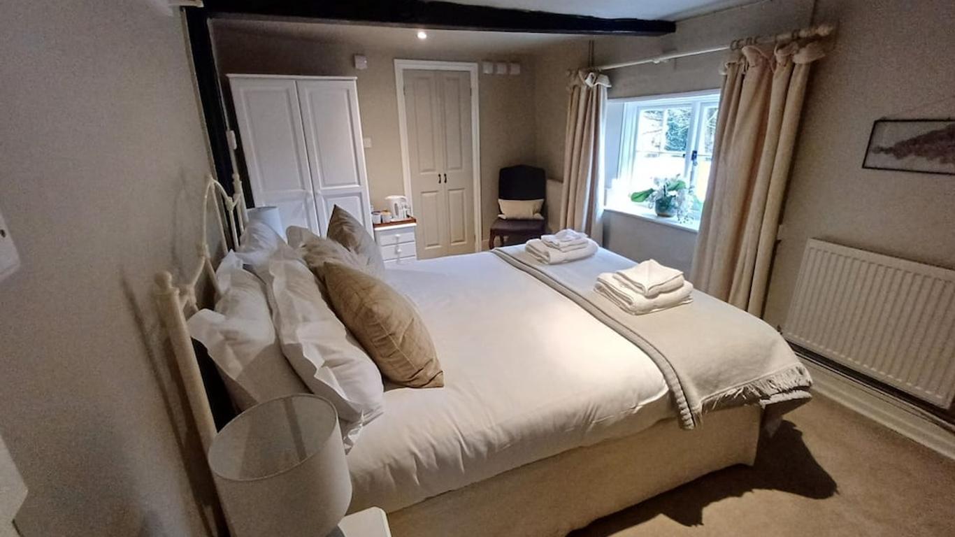 ذا فوكس جوز فري