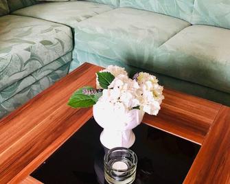 Apartment on the Elbe Ferry - Apartment for 2 - 3 People - Dresden - Zimmerausstattung