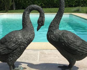 Delightful Villa in Juillac with private pool and garden. Nr St Emilion - Gensac - Piscina
