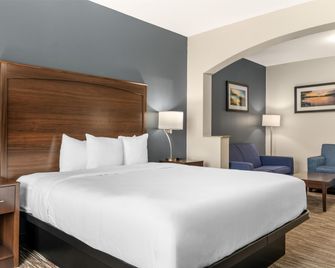 Best Western Plus Lake Dallas Inn & Suites - Lake Dallas - Yatak Odası
