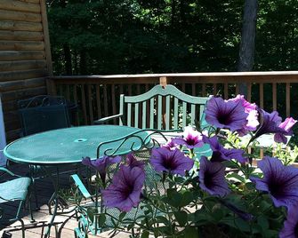 Romantic Cabin Rental with Wi-Fi near Lake Ontario in Sackets Harbor, New York - Sackets Harbor - Patio