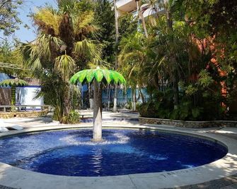 Hotel Delfines Acapulco by NG Hoteles - Acapulco - Alberca