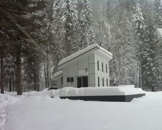 Hayley's Stormtrooper Loft Cabin - Revelstoke - Building
