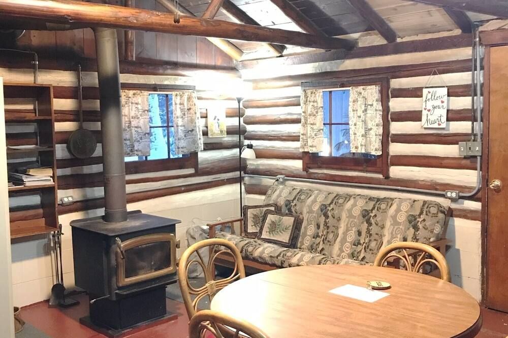 Ellis Lake Resort - Birch Log Cabin-Interlochen/Traverse City