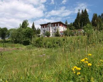Waldhotel am Notschreipass - Todtnau - Gebäude
