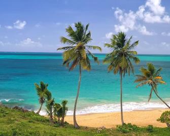 Wonderful pool, inside a Villa - Las Galeras - Playa
