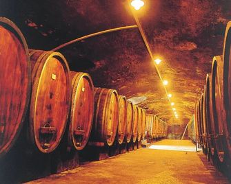 Weinstube Schwarzamsel - Speyer