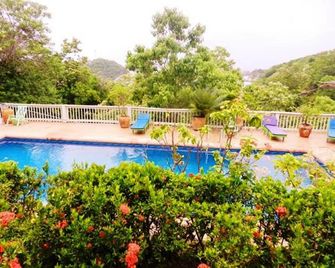 La Buena Vista - Puerto Angel - Piscina