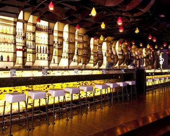 Enjoy Santiago Hotel Del Valle - Rinconada - Bar