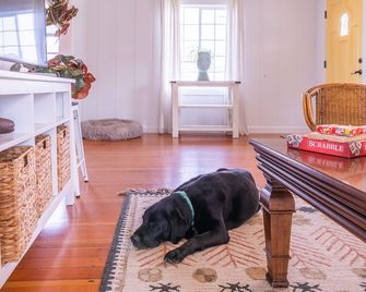 Beach Cottage Near the Coastal Trail and the Ritz - Half Moon Bay - Living room