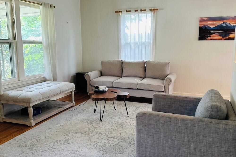 2-3 BR pet friendly house with big fenced yard & private carport - Austin - Living room