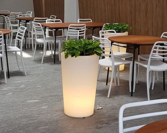 Quinto Elemento - Meksyk - Restauracja