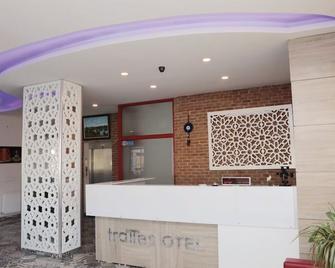 Tralles Park Otel - Aydin - Recepción