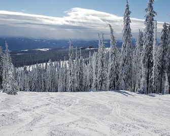 Best 4-Bedroom Family-Friendly Ski-In/Ski-Out With Hot Tub on Big White - Big White - Prestation de l’hébergement