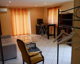 Villa Seignemartin - Lyon - Sala de estar