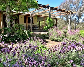 Capertee National Park Cottages - Bogee