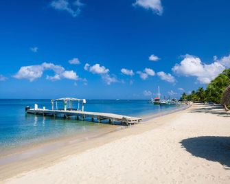 Del Playa Penthouse #6 Condo - Coxen Hole - Strand