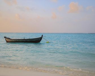 Evila Inn - Thoddoo - Thoddoo-Atoll - Strand
