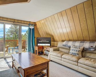 Sloped Summit! Rustic A-Frame Cabin w Scenic Views - Divide - Sala de estar
