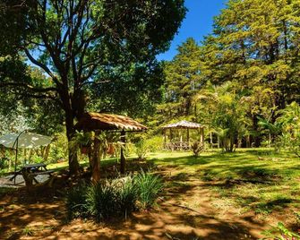 Cabanas Lunas Del Poas - San José - Vista del exterior