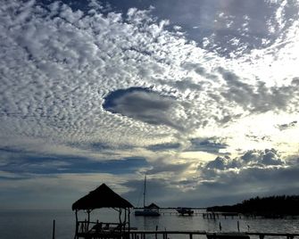 Treetops Hotel - Caye Caulker
