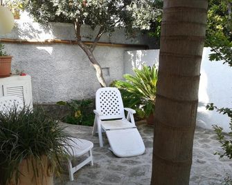 Pitosforo - Ulivo - Cocco - Ischia - Patio