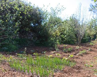 Diamond Villa with swimming pool - Rodia - Outdoor view