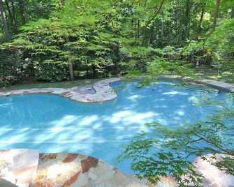 Healing House - Healing Escape - Berkeley Springs - Басейн