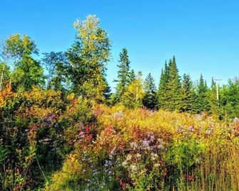 Site 11 Fisher Glamping Bunkie on Small Urban Farm - Kenora - Venkovní prostory