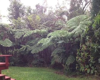 Charming Kaloko Mountain Cottage With Hot Tub - Private,secluded And Cozy!! - Kailua-Kona - Extérieur