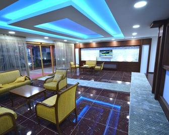 Olgassys Butik Otel - Ilgaz - Lobby