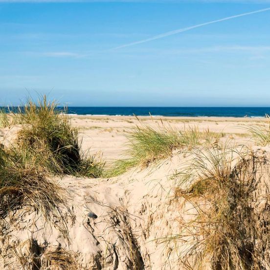 First Camp Lakolk Strand Camping – Rømø