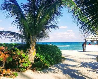 Luxury Beach Resort - Hora Rentals - Miami Beach - Strand