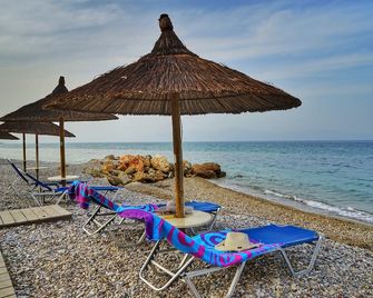 코코니 비치 호텔 - 코코니 - 해변