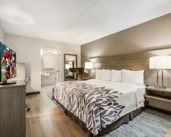 Red Roof Inn Lansing West - MSU - Lansing - Habitación