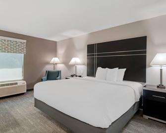 Quality Inn & Suites Union City - Atlanta South - Union City - Bedroom