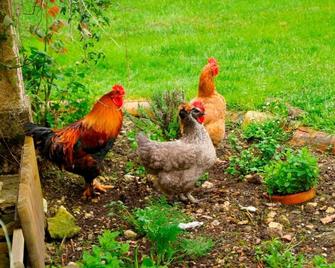 Beautiful Gites 2 Gites Set In Stunning Rural Location - Savignac-de-Duras