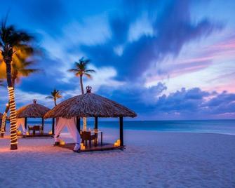 Studio villa at Marriott's Aruba Surf Club- Best Resort on the Island - Noord - Bãi biển