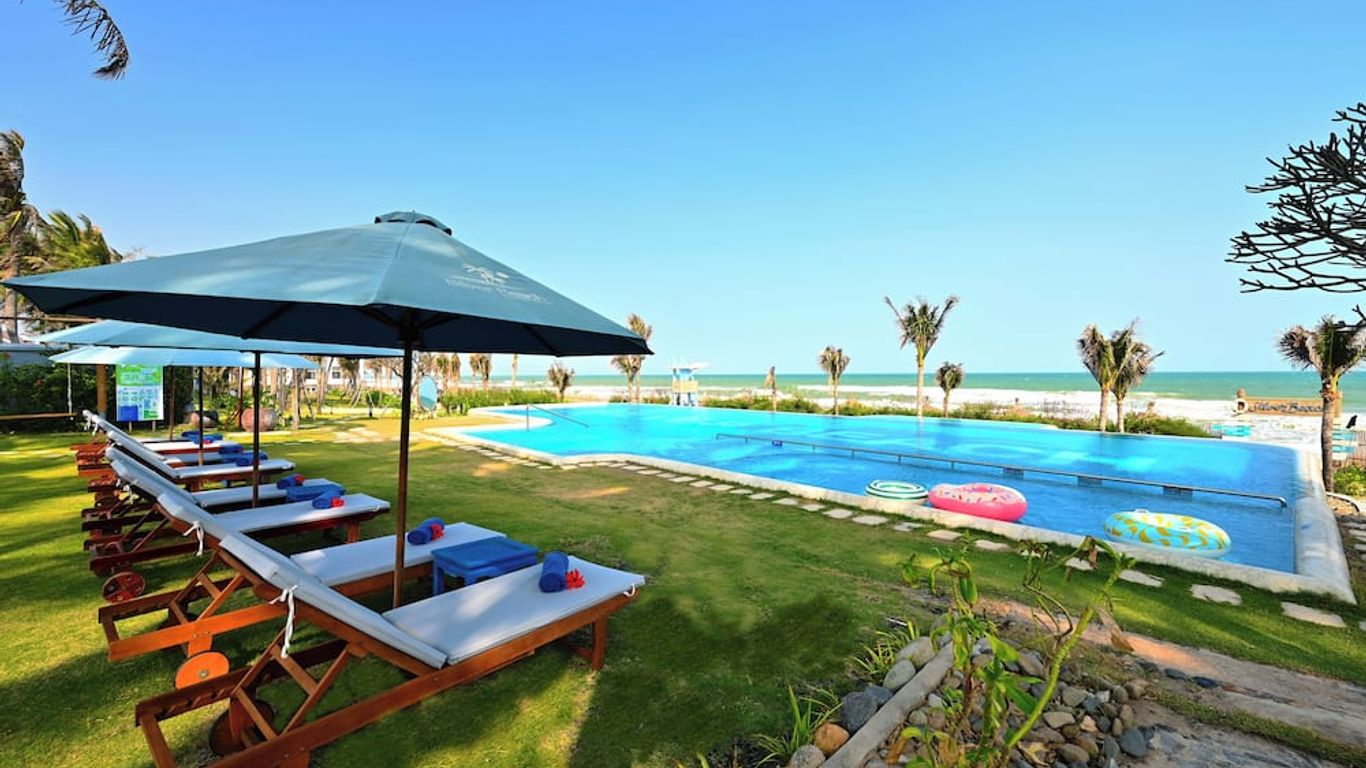 TTC 프리미엄 케 가