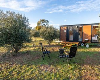 The Little Grove Retreat by Tiny Away - West Wyalong - Patio