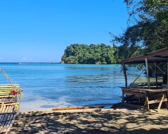 2 br unit with sea and town views. Close to several beaches, town center. - Port Antonio - Strand