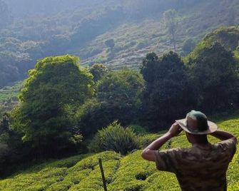 Wild and Free Farm Stay - Ooty - Outdoor view