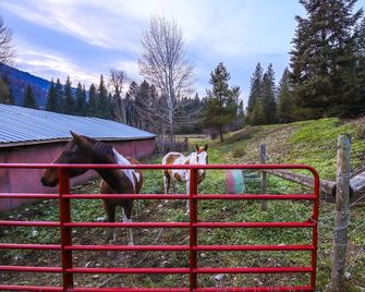 Montana Cabin: Day Trip to Glacier Nat’l Park! - Saint Regis