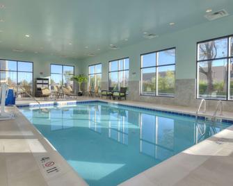 Hampton Inn & Suites Chicago/Schaumburg - שאומבורג - בריכה