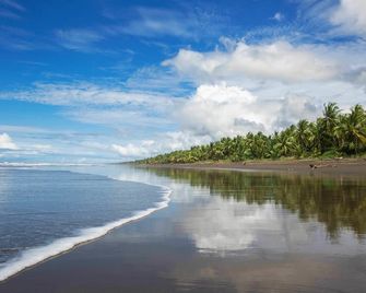 Clandestino Beach - Parrita - Strand