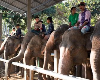 Lai-Thai Guest House - Chiang Mai