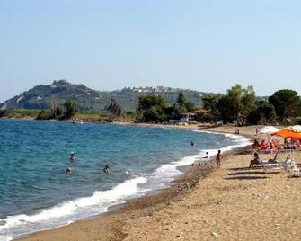 Kassimiotis - Logga - Playa