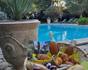 Homerez - Villa in Arles with Private Pool. - Saint-Gilles - Zwembad