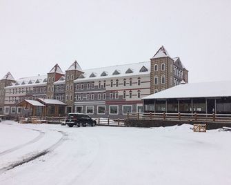 Sarikamis Kayi Snow Otel - Sarıkamış - Building